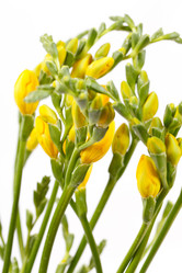 Similar image 2234926