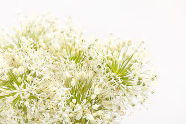 Similar image 2234928