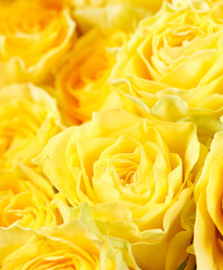 Similar image 2234930