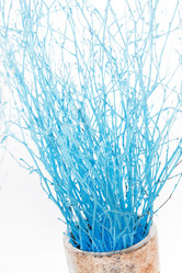 Similar image 2234931