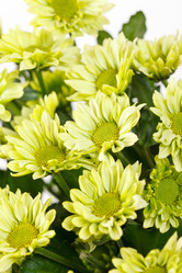 Similar image 2234937