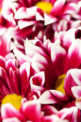 Similar image 2234939