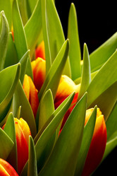 Similar image 2234940