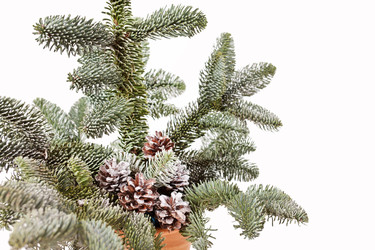 Similar image 2234948