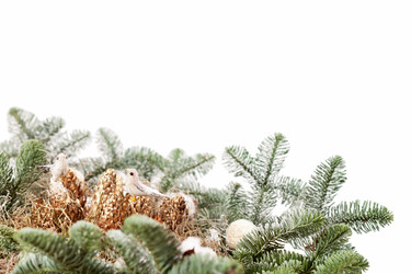 Similar image 2234949