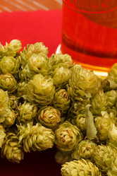 Similar image 2234992