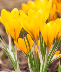 Similar image 2235034