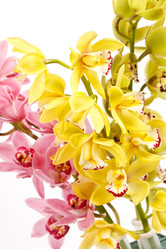 Similar image 2235063