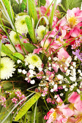 Similar image 2235066