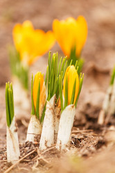 Similar image 2235069