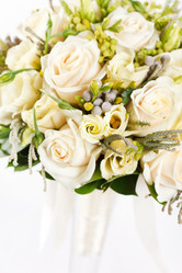 Similar image 2235099