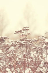 Similar image 2235250