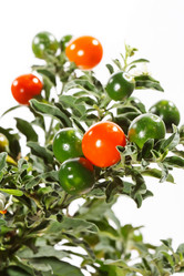 Similar image 2235276