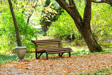 Similar image 2235280