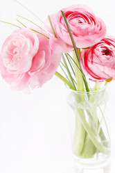 Similar image 2235290