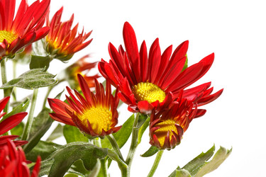 Similar image 2235303