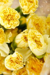 Similar image 2235305