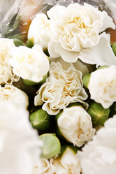 Similar image 2235307