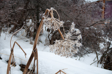 Similar image 2235322