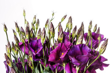 Similar image 2235437