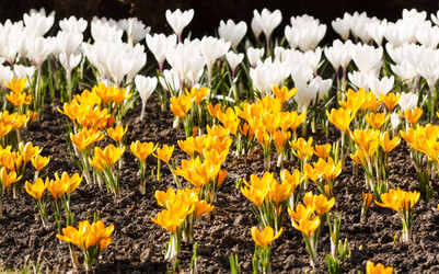 Similar image 2235477