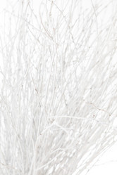 Similar image 2235556