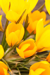 Similar image 2235672