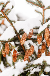 Similar image 2235719