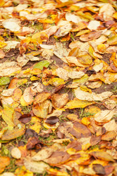 Similar image 2235742