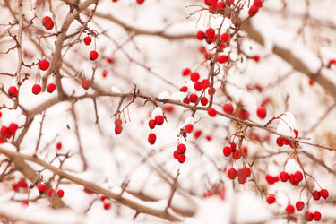 Similar image 2235761