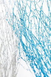 Similar image 2235771