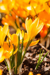 Similar image 2235808