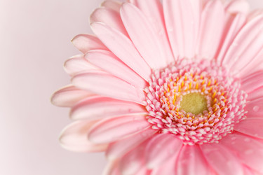 Similar image 2235845