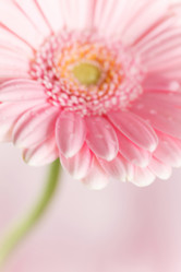 Similar image 2235978