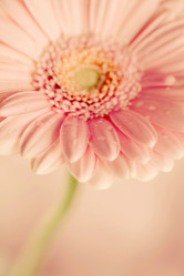 Similar image 2235981