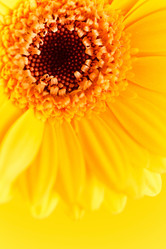 Similar image 2235985