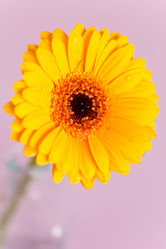 Similar image 2235991