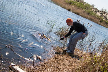 Similar image 2236007