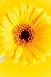 Similar image 2236056