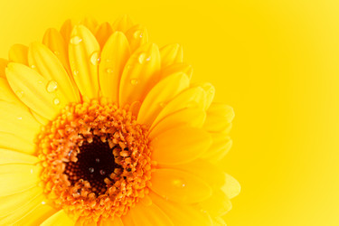 Similar image 2236057