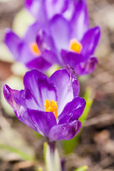 Similar image 2236058