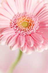 Similar image 2236064