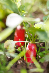 Similar image 2236106