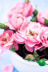 Similar image 2236119