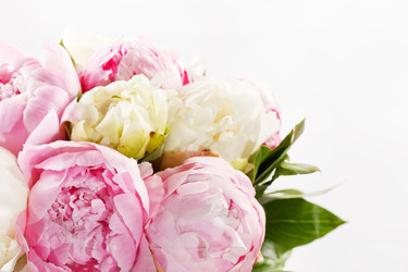 Similar image 2236138