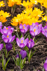 Similar image 2236146