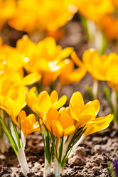 Similar image 2236152