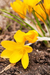 Similar image 2236166