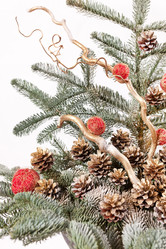 Similar image 2236167