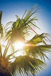 Similar image 2236181